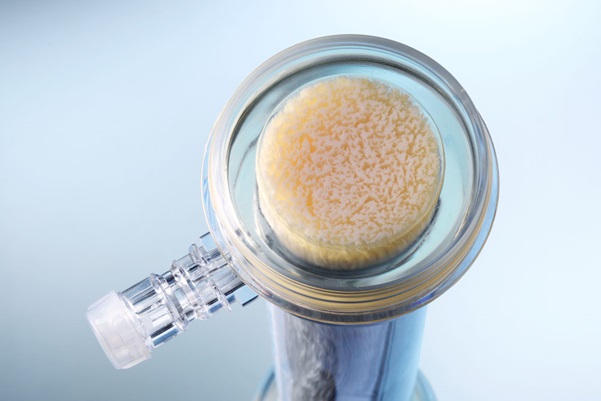 Blood-dialysis-filter