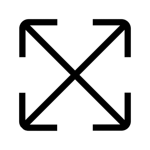 Four Directions Icon