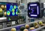 SWIR Vision Basler visSWIR Cameras CQD SWIR Sensors Hyperspectral Imaging Agriculture تشخیص کبودی زیرسطحی میوه بازرسی غیرمخرب محصولات کشاورزی Machine Vision در کشاورزی تشخیص مواد خارجی در خط فرآوری UAV SWIR Imaging کنترل کیفیت هوشمند محصولات غذایی دوربین SWIR صنعتی • دوربین Basler برای کشاورزی • سیستم بینایی ماشین کشاورزی • کنترل کیفیت محصولات کشاورزی با تصویر‌برداری • تشخیص خرابی و آفت محصولات با دوربین • سورتینگ میوه با بینایی ماشین • فناوری مادون‌قرمز کوتاه‌موج در کشاورزی • دوربین دید در طیف IR برای غذا و کشاورزی • بازرسی غیرمخرب محصولات غذایی • تصویربرداری حرفه‌ای برای خطوط فرآوری مواد غذایی